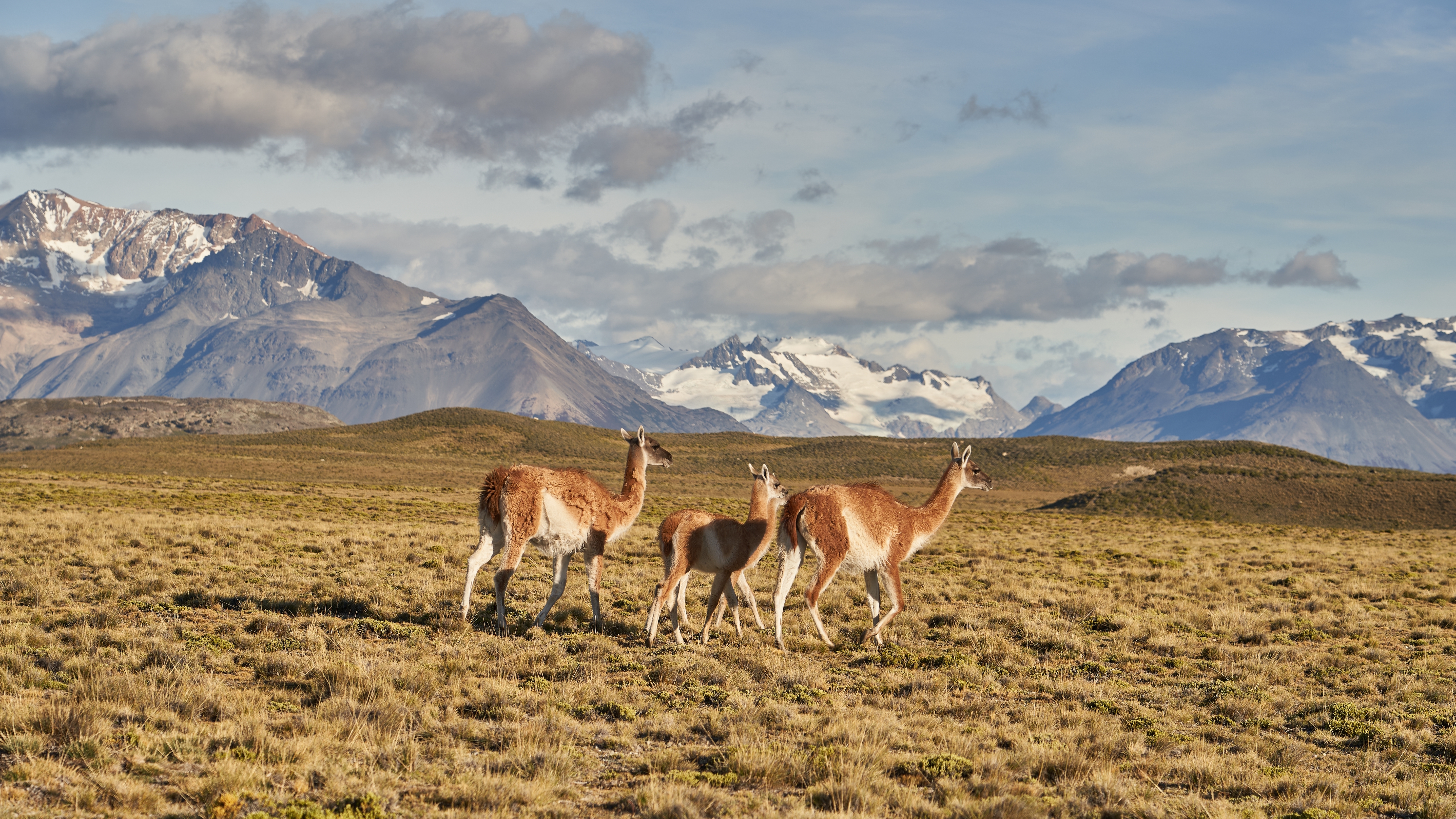 Agence Max Turismo Argentina