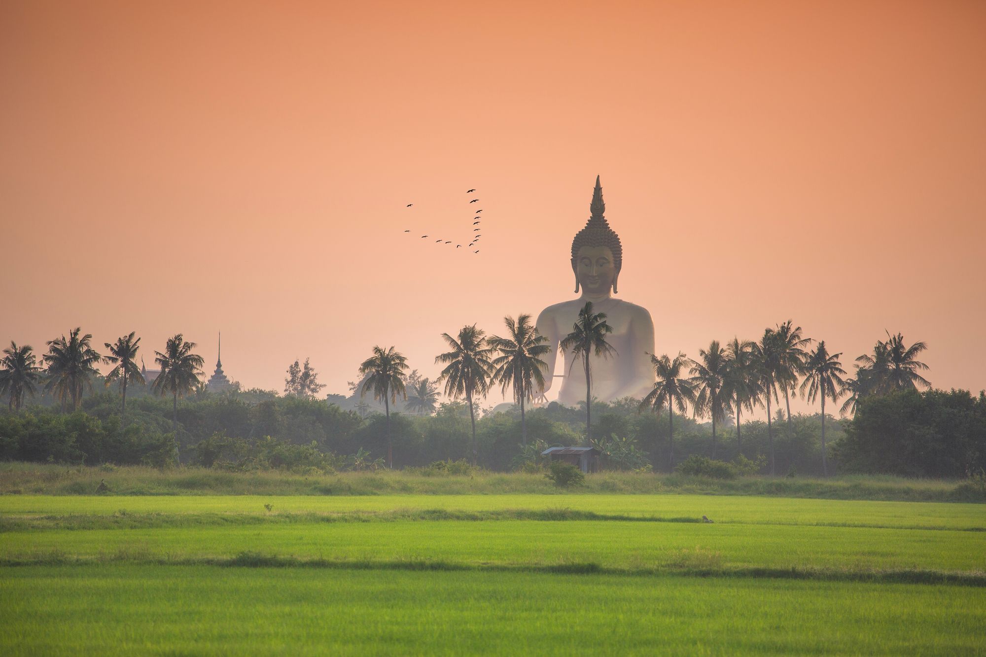 Agence Nomade Aventure