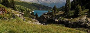 Agence La Vie Sauvage