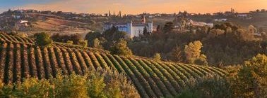 Agence Comptoir des Voyages