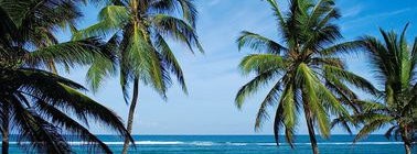 Agence Aventure Safaris