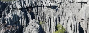 Agence Madagascar sur mesure