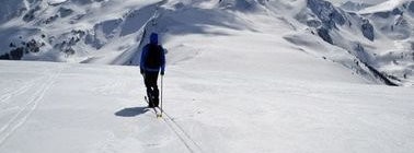 mesure organisé