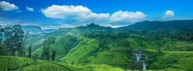 Agence Sri Lanka sur mesure