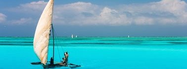 Agence Destination Tanzanie